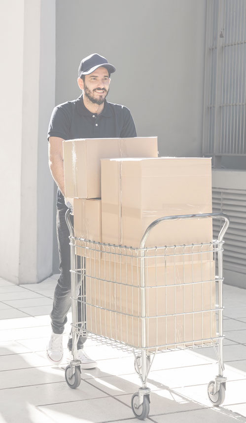 worldwide removal expert